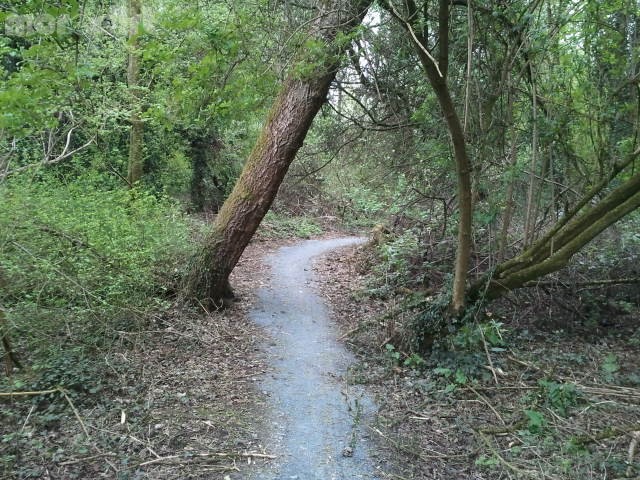 Craigavon Lakes Mountain Bike Trail