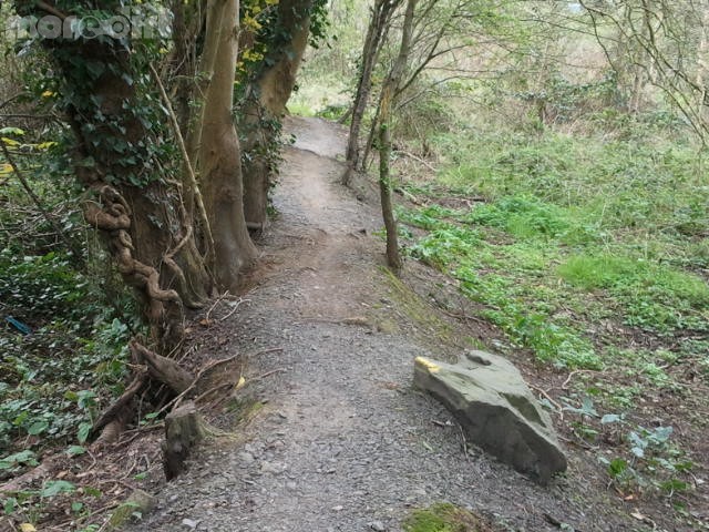 Craigavon Lakes Mountain Bike Trail