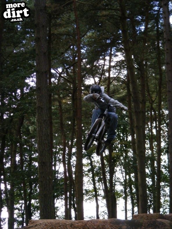 Delamere Forest Mountain Bike Trails