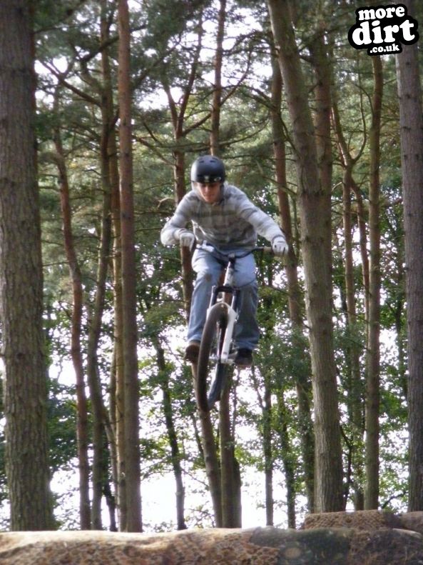 Delamere Forest Mountain Bike Trails