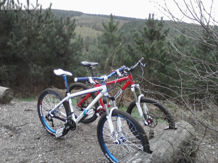 Mountain Bike