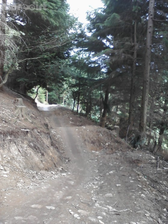 Verderers' Trail - Forest of Dean