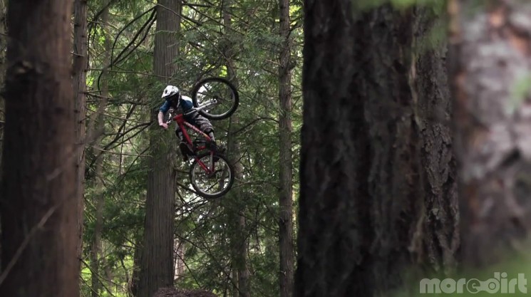 Mark Matthews Sweat Equity