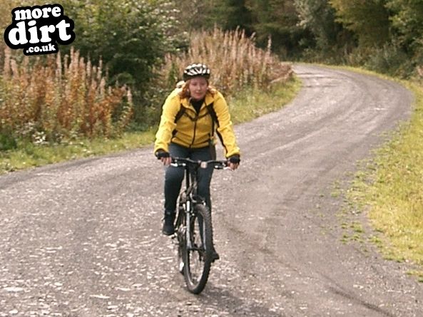 MBR Trail - Coed-y-Brenin