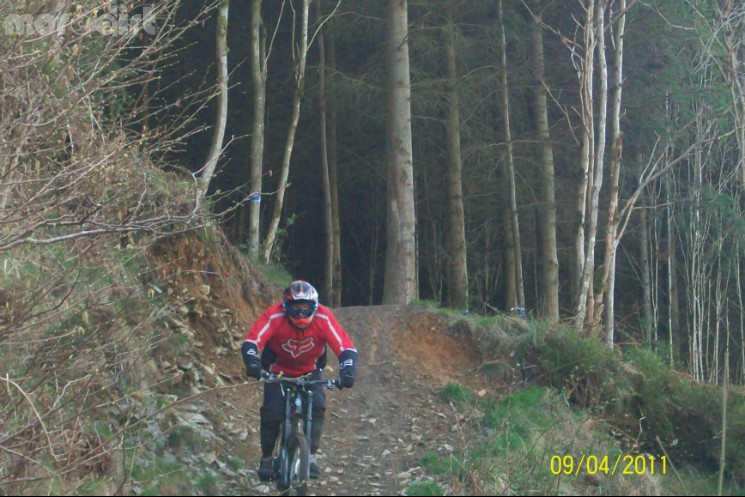 foel downhill tracks