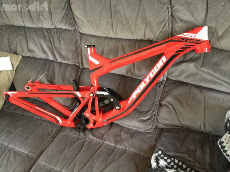 Sam Reynolds Polygon Colusus