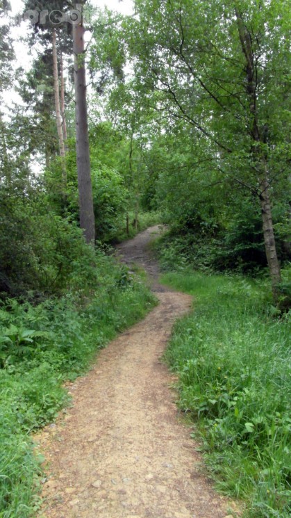 Scar Tree Mountain Bike Trail - Wakerley Great Wood