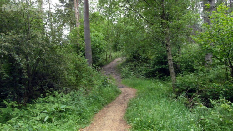 Scar Tree Mountain Bike Trail - Wakerley Great Wood