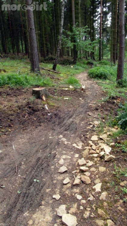 Scar Tree Mountain Bike Trail - Wakerley Great Wood