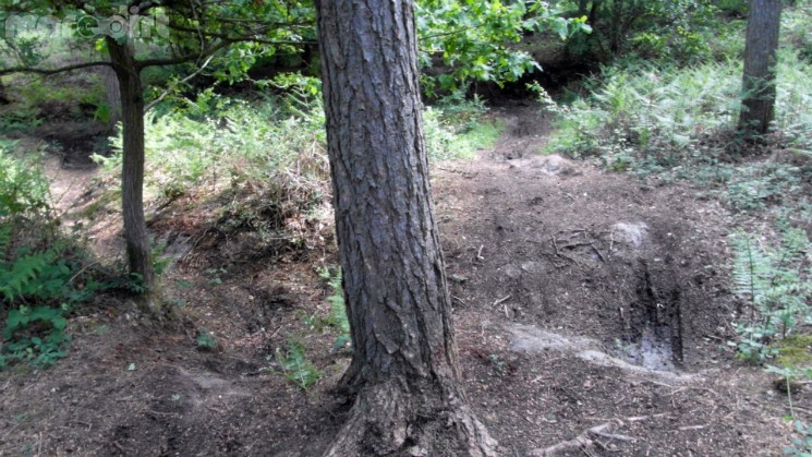 Scar Tree Mountain Bike Trail - Wakerley Great Wood