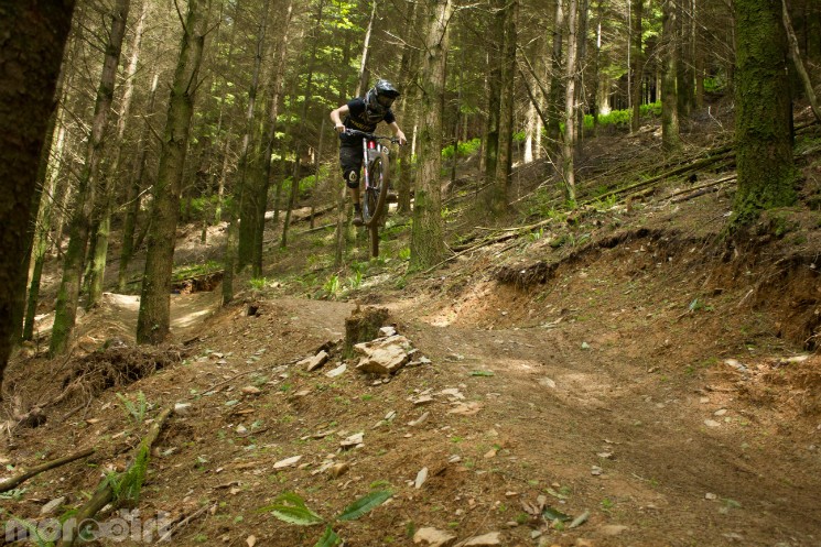 Gawton Mountain Bike Trails