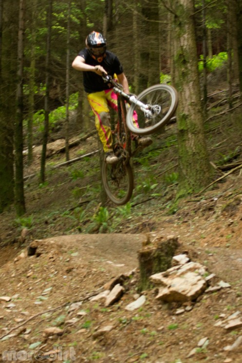 Gawton Mountain Bike Trails