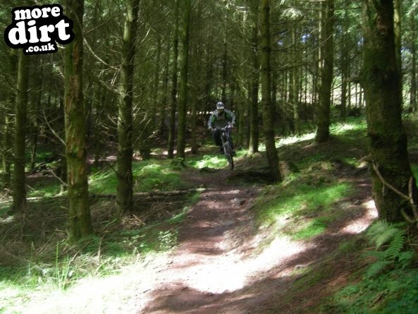 Triscombe Mountain Bike Trails