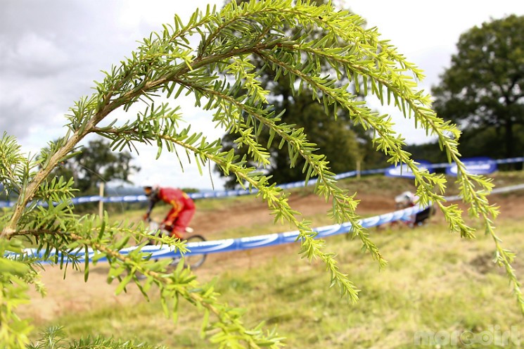 MTB National Championships - XC, DH and 4X - Gallery