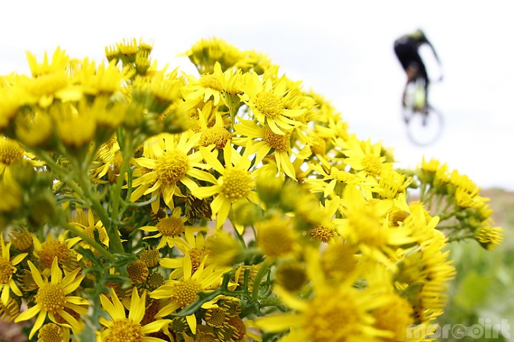 MTB National Championships - XC, DH and 4X - Gallery