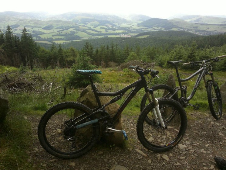 Start of Spooky Woods