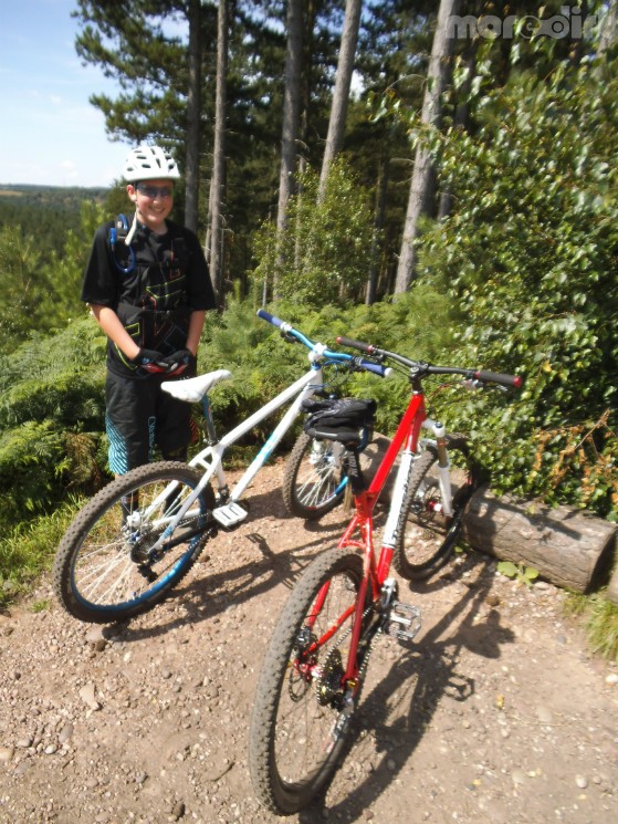 The Monkey Trail (Cannock)

