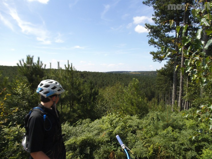 Sunshine at last!!!

The Monkey Trail (Cannock)