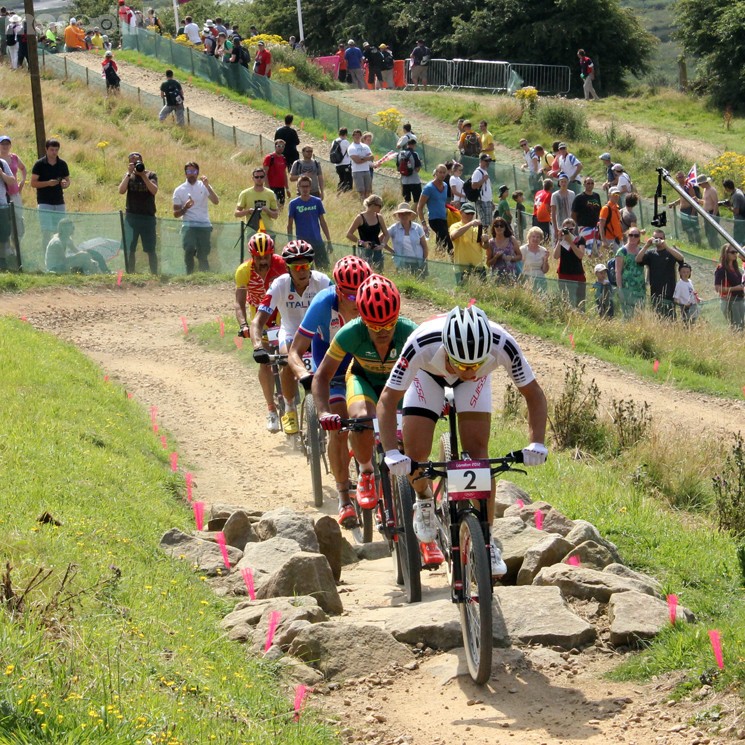 Hadleigh Farm - 2012 Olympics