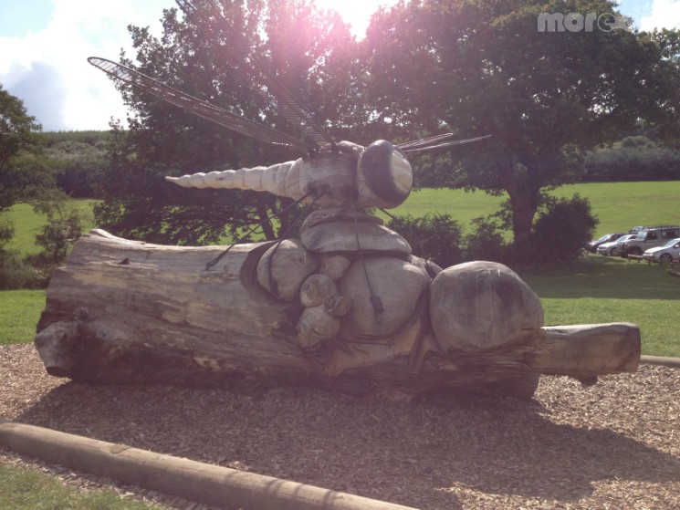 Delamere Forest Mountain Bike Trails