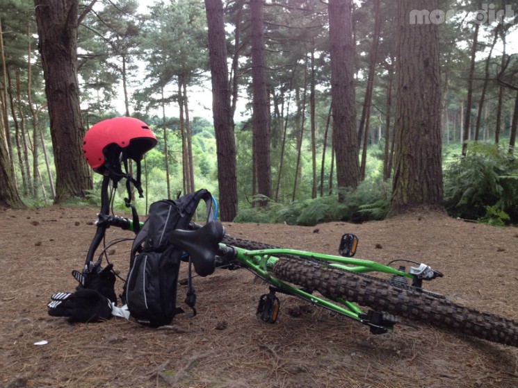 Delamere Forest Mountain Bike Trails