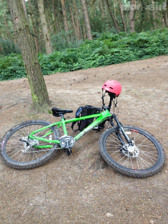 Delamere Forest Mountain Bike Trails
