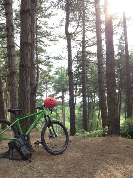 Delamere Forest Mountain Bike Trails