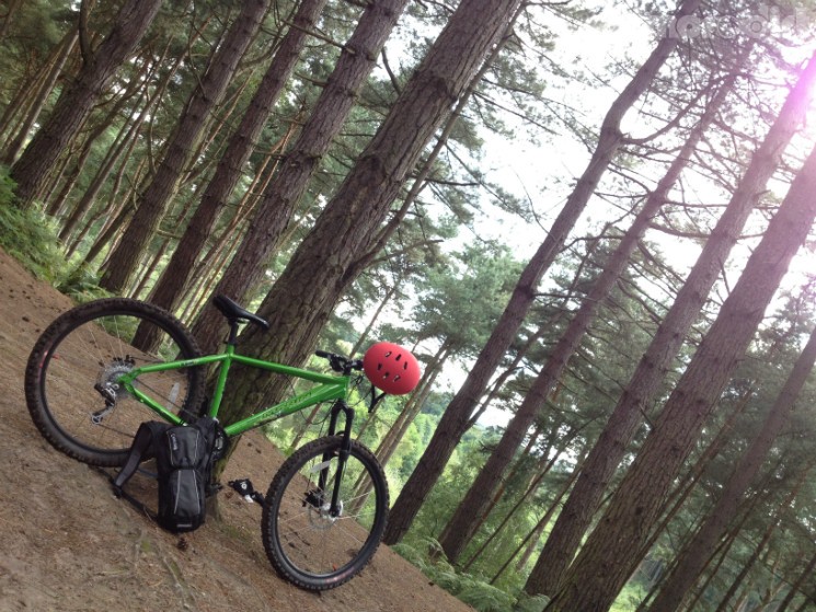 Delamere Forest Mountain Bike Trails