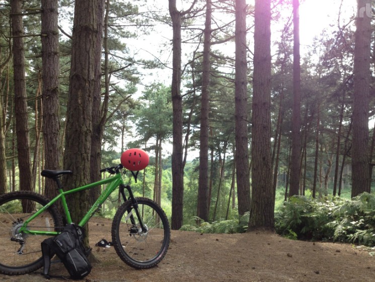 Delamere Forest Mountain Bike Trails