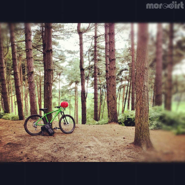 Delamere Forest Mountain Bike Trails