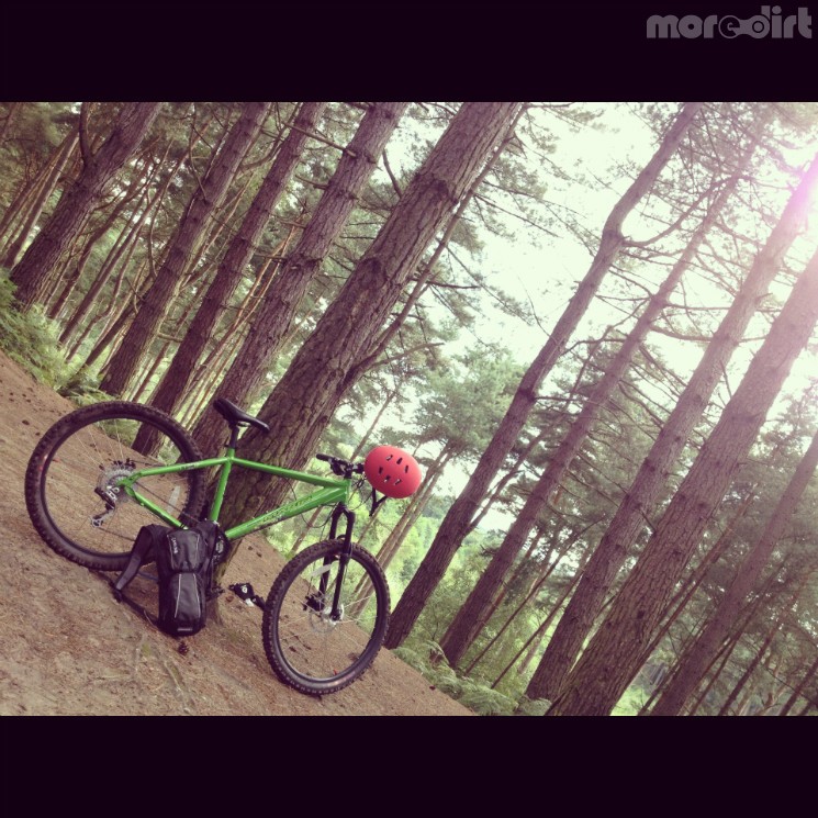 Delamere Forest Mountain Bike Trails