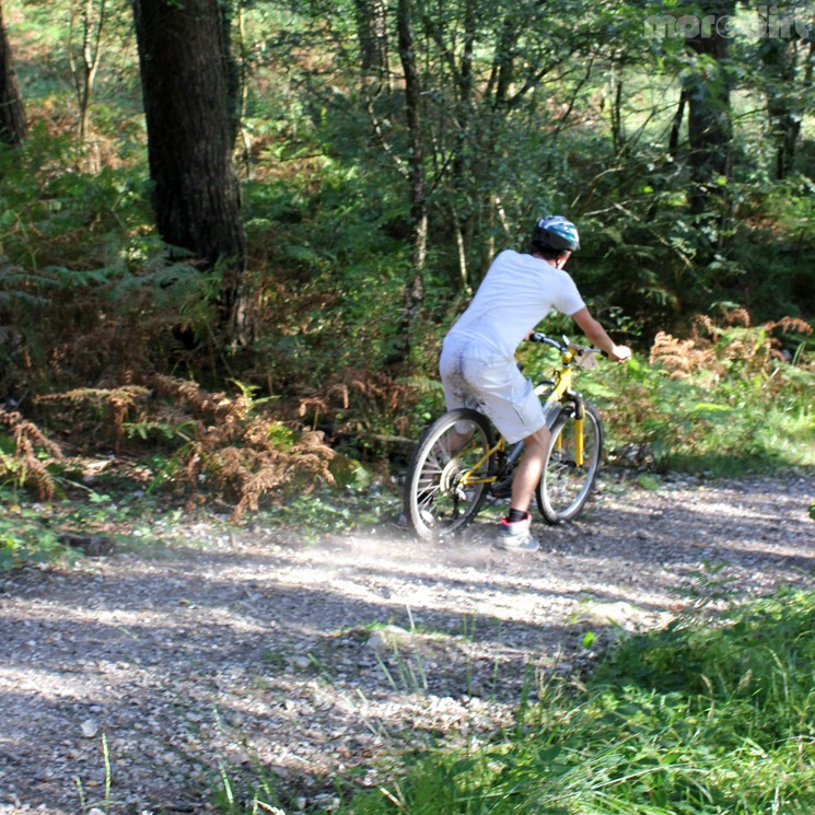 2XC 2012 RD5 - Haldon Forest - Gallery