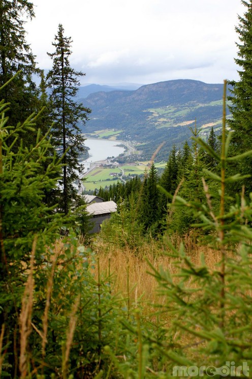 UCI World Cup XCO 6 / XCE 5 / DHI 5 - Hafjell - Gallery