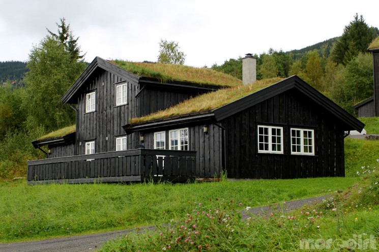 UCI World Cup XCO 6 / XCE 5 / DHI 5 - Hafjell - Gallery