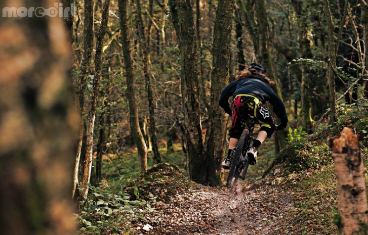 James Davey -  Locals