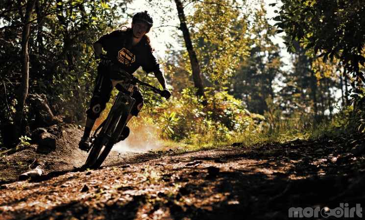 James Davey -  Locals