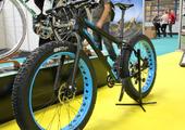 The Cycle Show - Gallery