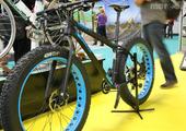 The Cycle Show - Gallery
