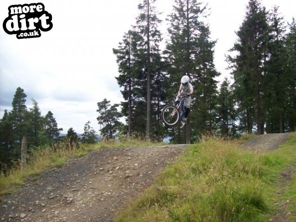 Freeride Park - Glentress