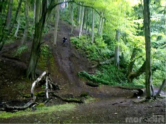 Cavehill Mountain Biking Trails