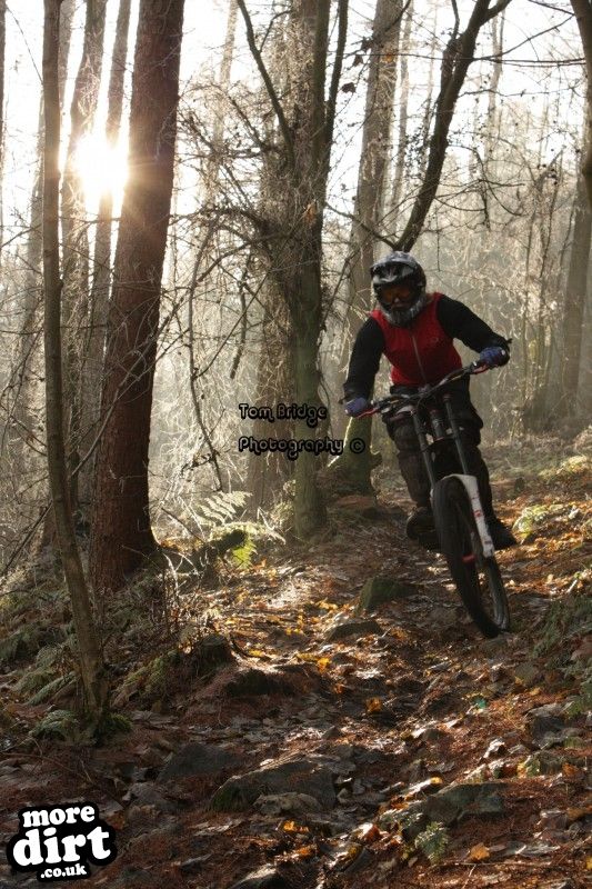 Eastridge Downhill Trails