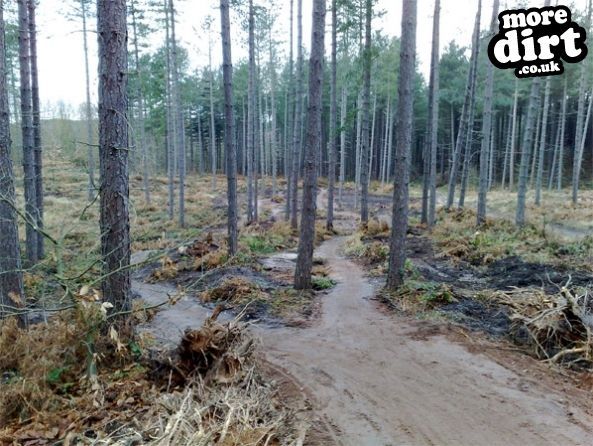 Adventure Cycle Trail - Sherwood Pines