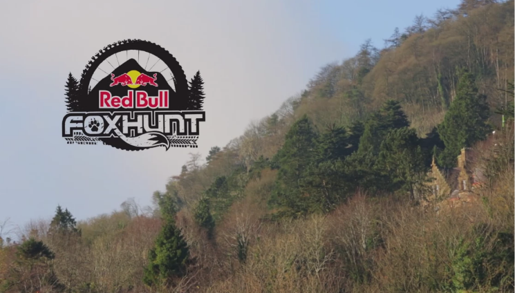 red bull fox hunt