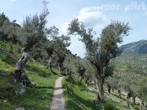 Alaro-Castillo-Pas de Estalo-Coa Negra-Alaro