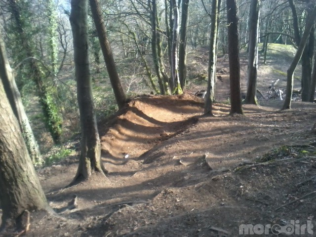 Cavehill Mountain Biking Trails