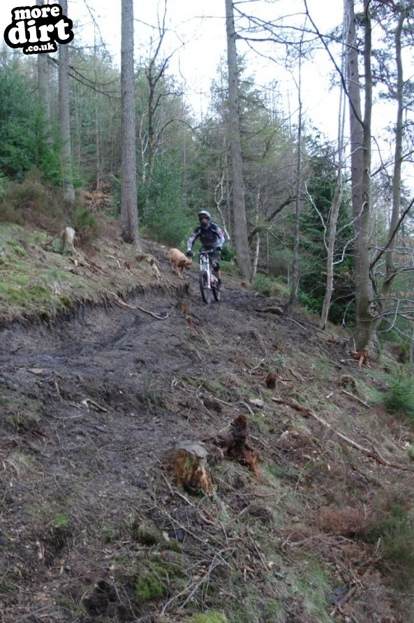 Danny Hart’s Descend Bike Park