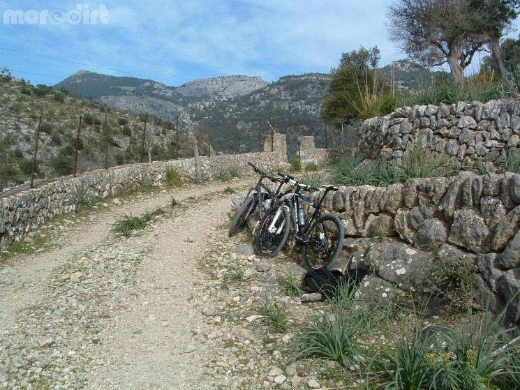 Alaro, Solleric, S'Almedra, Oli Clar, Alaro Trail