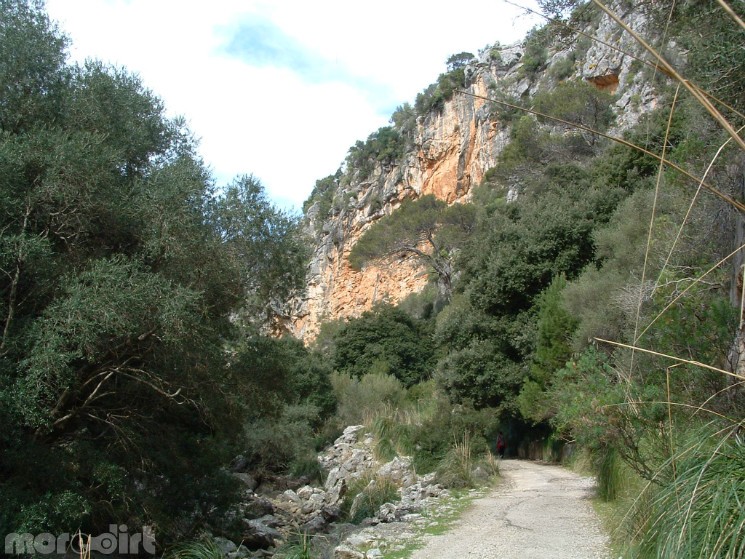 Alaro, Solleric, S'Almedra, Oli Clar, Alaro Trail