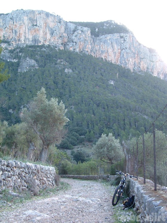 Alaro, Solleric, S'Almedra, Oli Clar, Alaro Trail