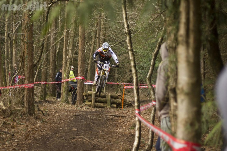 tavistock woodland riders 1 winter 2013